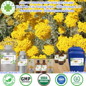 Tinh Dầu Cúc Trường Sinh - Helichrysum Oil