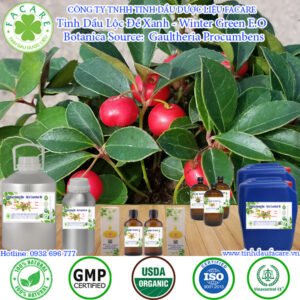 Tinh Dầu Lộc Đề Xanh - Winter Green Oil