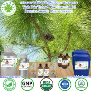 Tinh Dầu Thông - Pine Oil