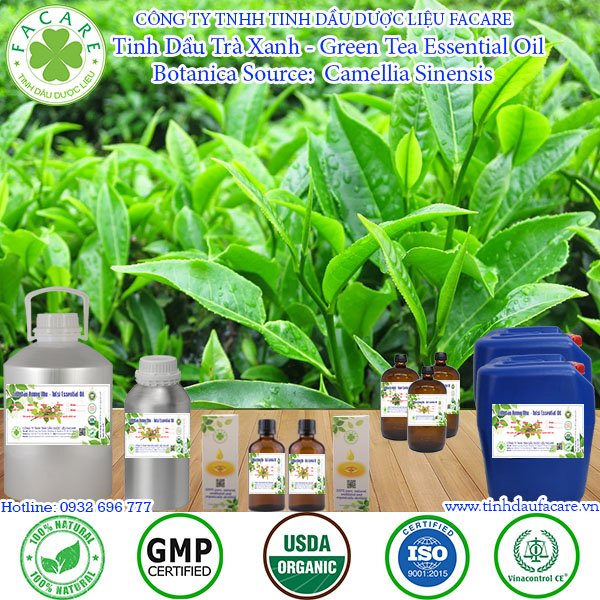 Tinh Dầu Trà Xanh - Green Tea Oil