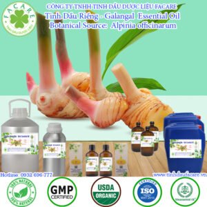 Tinh Dầu Riềng - Galangal Oil